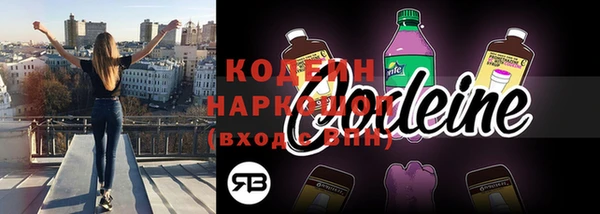 дурь Ладушкин