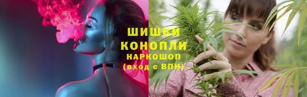 дурь Ладушкин