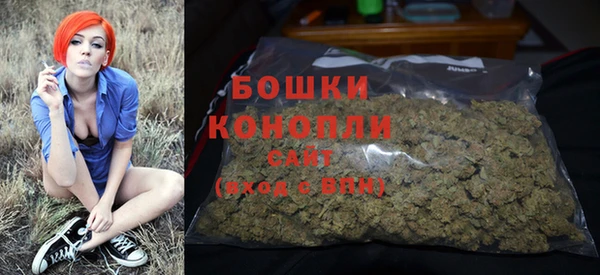 дурь Ладушкин