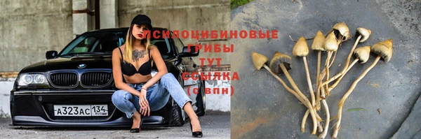 mdpv Лабытнанги