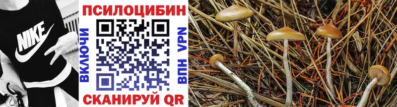 Купить закладки  Лахденпохья  Галлюциногенные грибы Psilocybe 